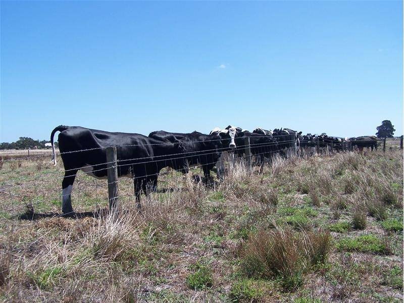 Wandilo Road, Glencoe SA 5291