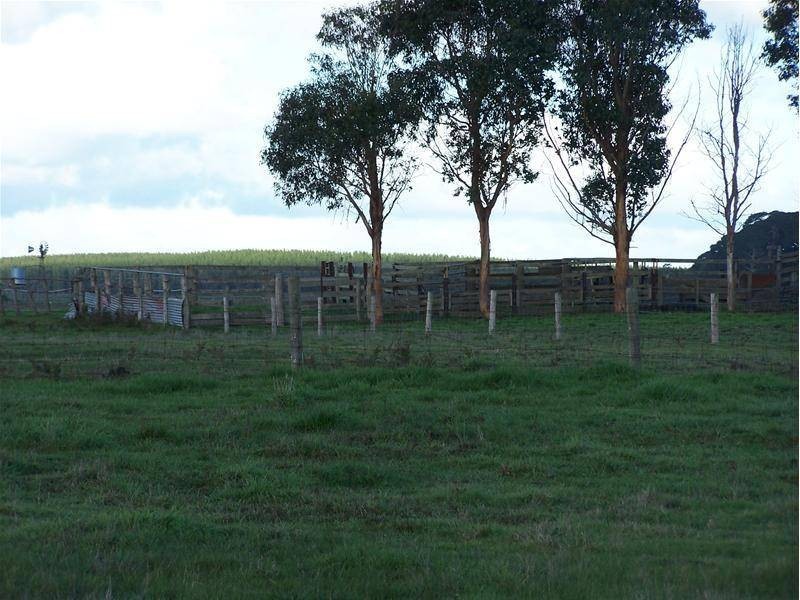 Sec 161 Kalangadoo Road, Glencoe SA 5291