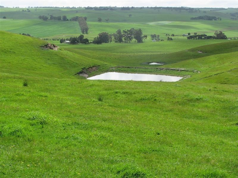 00 Carapook Road, Muntham VIC 3315