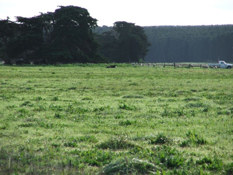 Lot 1 Powers Road, Tantanoola SA 5280