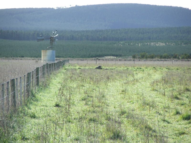 Lot 1 Powers Road, Tantanoola SA 5280