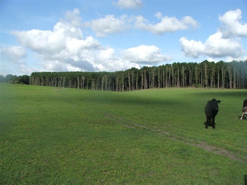 Allot 12 Princes Highway, Mount Gambier SA 5290