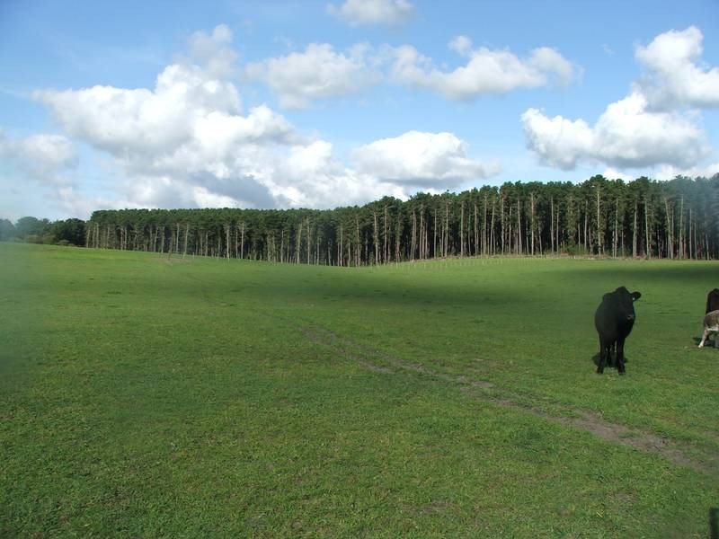 00 Princes Highway, Mount Gambier SA 5290