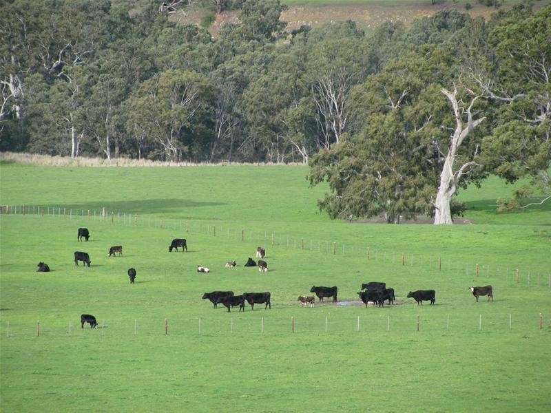 CA10 Uptons Road, Strathdownie VIC 3312