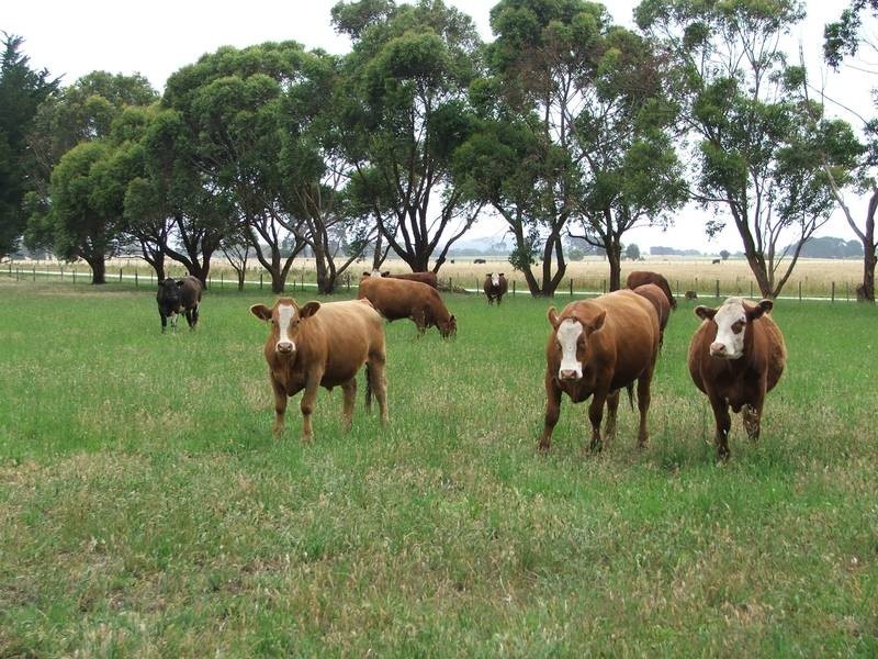 Lot 713 Fern Road, Mount Gambier SA 5290