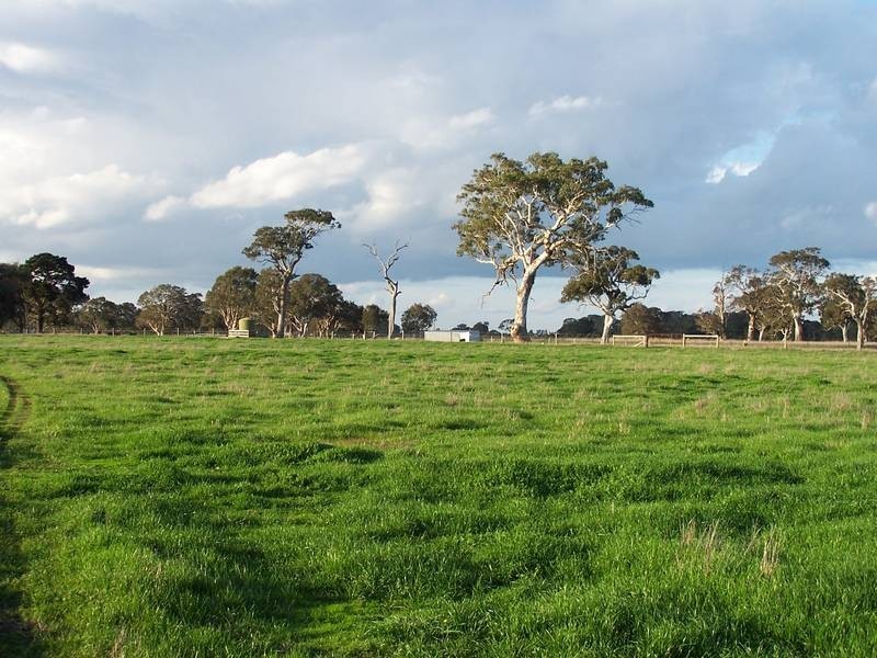 00 Buddle Lane, Kalangadoo SA 5278