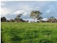 01 Buddle Lane, Kalangadoo SA 5278