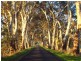 01 Buddle Lane, Kalangadoo SA 5278