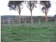 Sec 161 Kalangadoo Road, Glencoe SA 5291