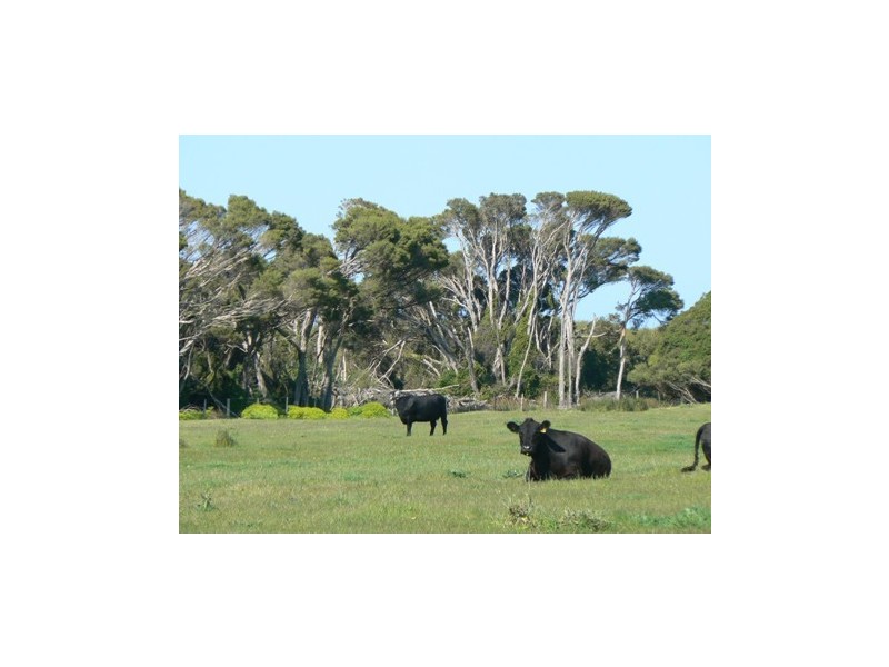 00 Beachport, Beachport SA 5280