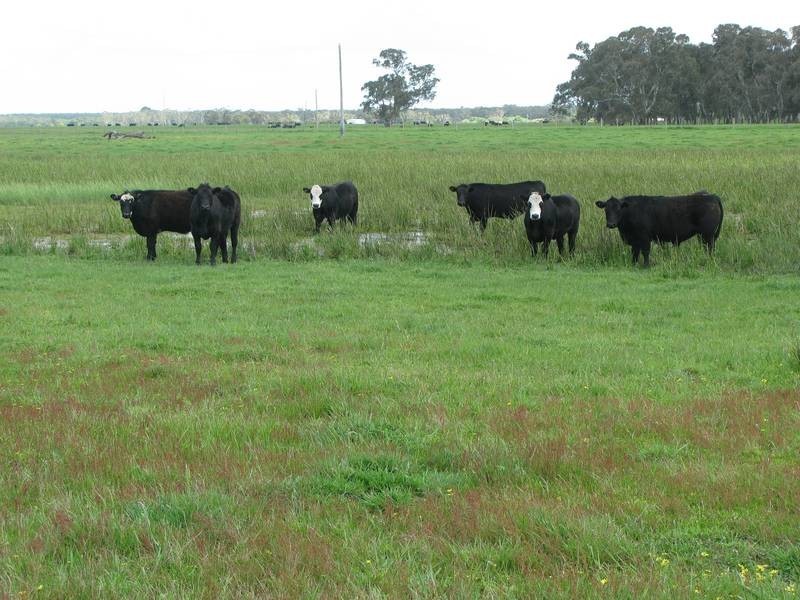 00 Bowd’s Road, Strathdownie VIC 3312