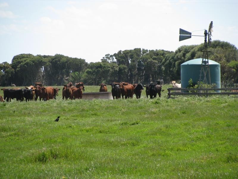 00 “Ascot Way”, Beachport SA 5280