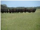 00 “Ascot Way”, Beachport SA 5280