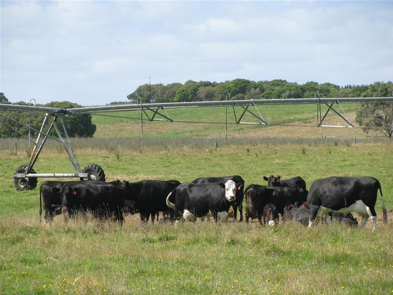 00 Punt Road, Caveton SA 5291