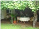 98 Crouch Street South, Mount Gambier SA 5290