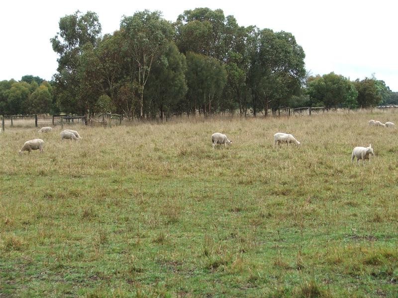 122a Lange Road, Yahl SA 5291