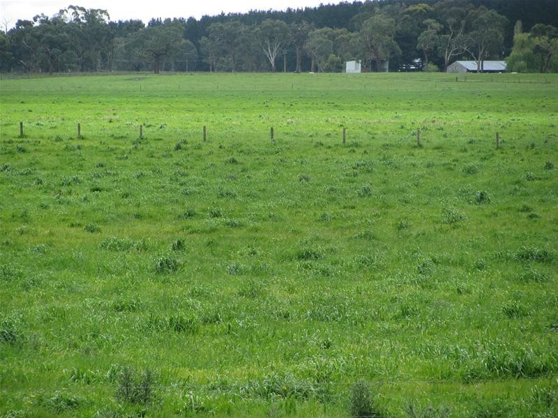 00 McKenzie Road, Mingbool SA 5291