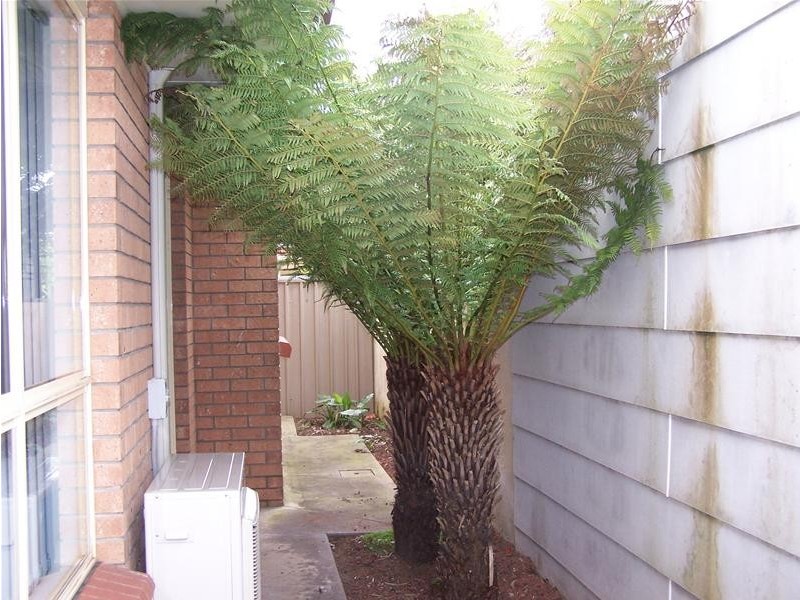 2/23 Ehret Street, Mount Gambier SA 5290