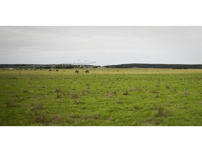 426 Glynns Road, Kongorong SA 5291