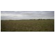 426 Glynns Road, Kongorong SA 5291