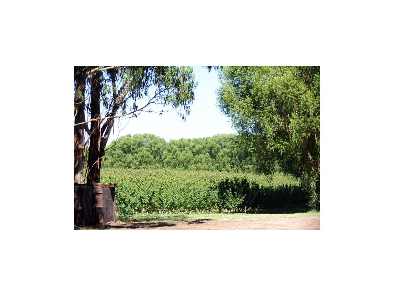 Lot 5 Dohle Road, Mount Gambier SA 5290