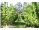 Lot 5, Lot 5 Dohle Road, Mount Gambier SA 5290