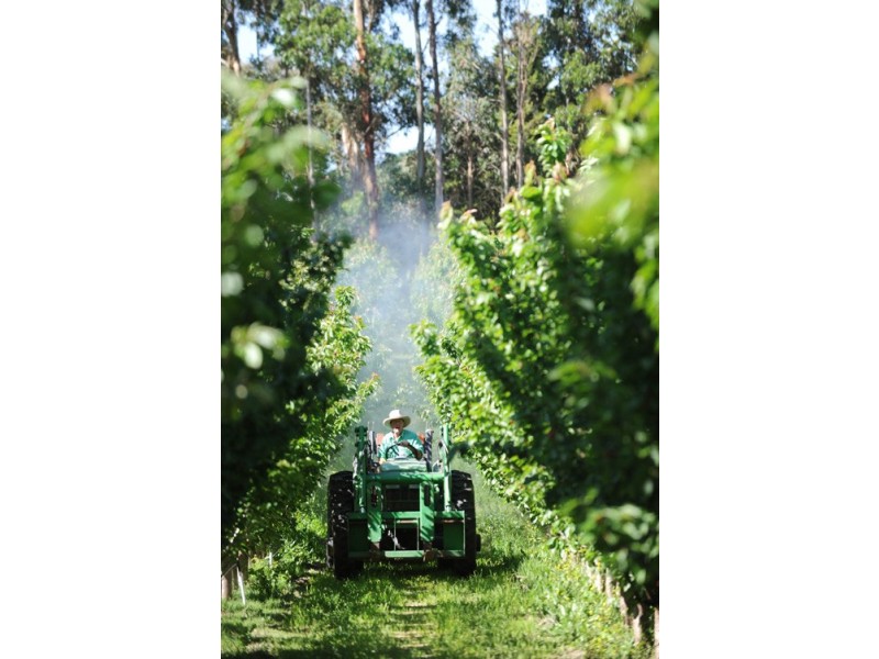 Lot 5, Lot 5 Dohle Road, Mount Gambier SA 5290