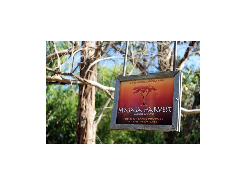 Lot 5, Lot 5 Dohle Road, Mount Gambier SA 5290