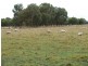 122a Lange Road, Yahl SA 5291