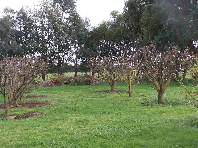 00 Mount Percy Road, Mount Gambier SA 5290