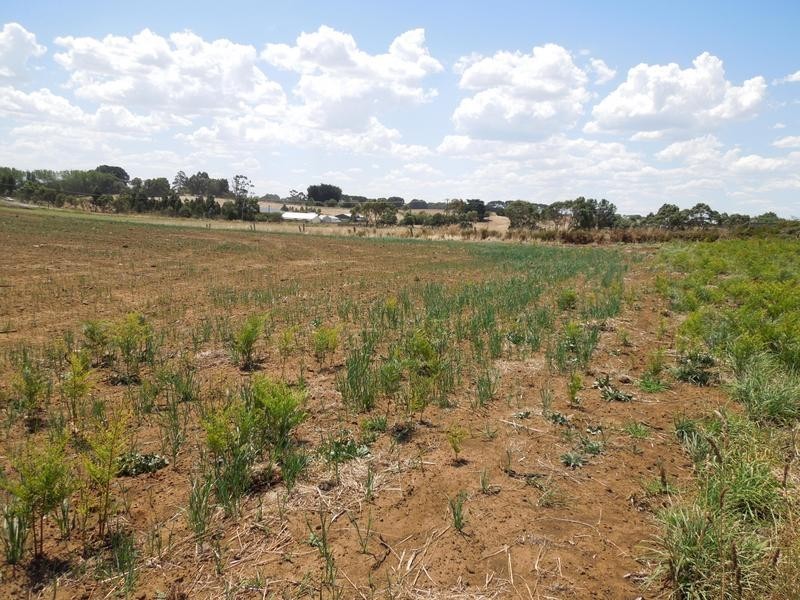 71 Gladigau Road, Mount Gambier SA 5290