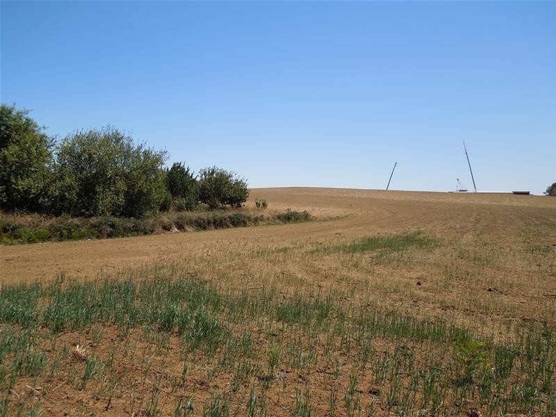 71 Gladigau Road, Mount Gambier SA 5290