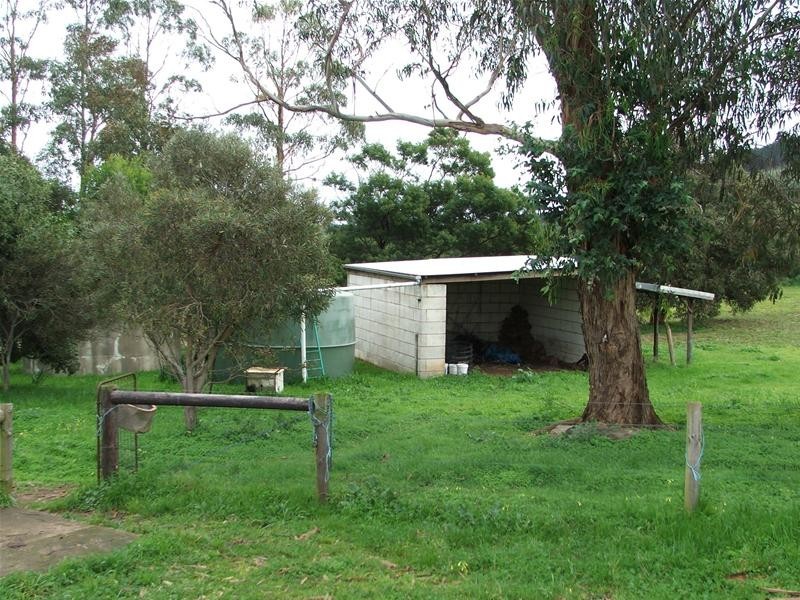 00 Flanagans Flat Road, Mount Gambier SA 5290