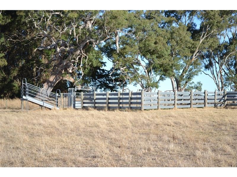 Section 87 Racecourse Road, Kalangadoo SA 5278