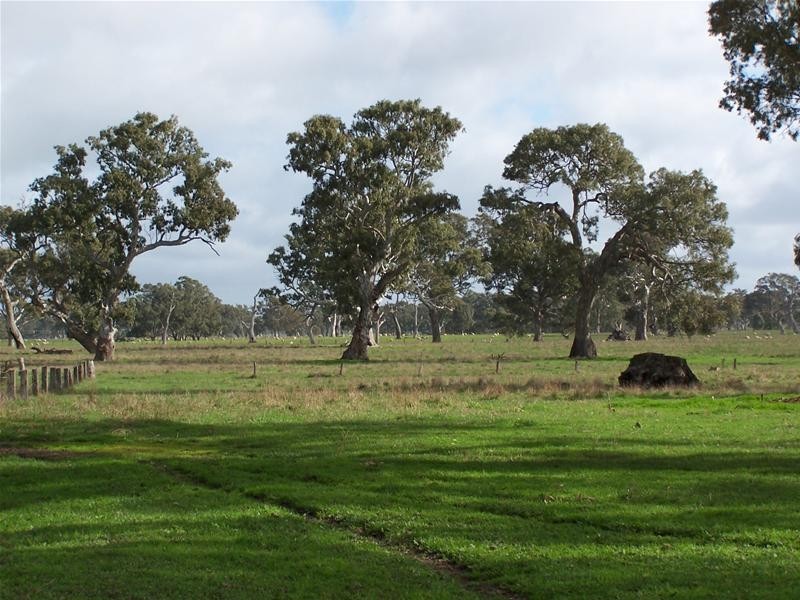 Section 87 Racecourse Road, Kalangadoo SA 5278