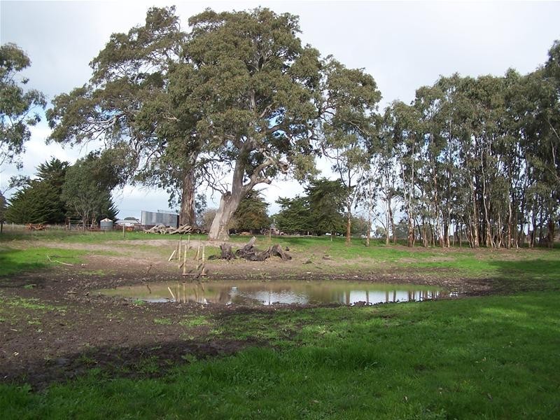 Section 87 Racecourse Road, Kalangadoo SA 5278