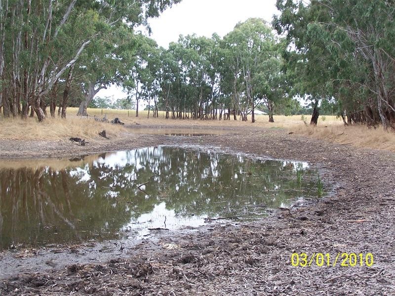 Section 87 Racecourse Road, Kalangadoo SA 5278