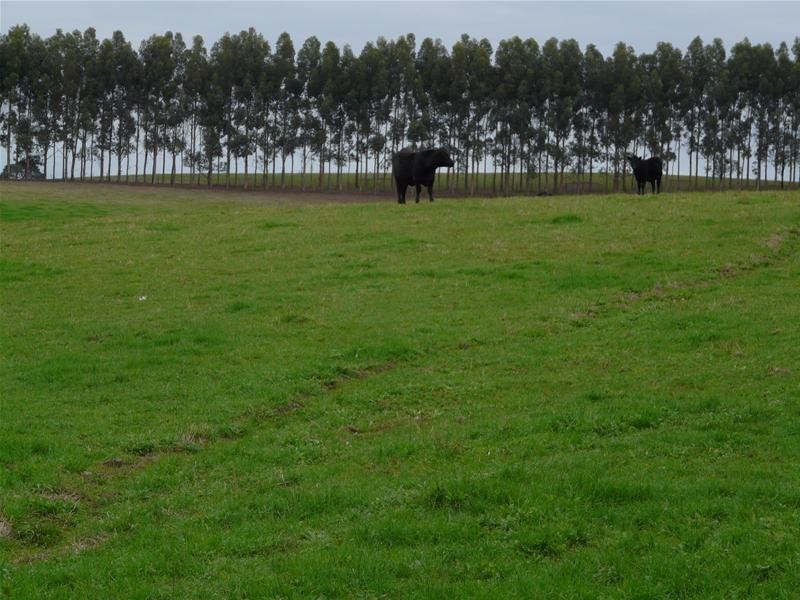 348 Walker Road, Suttontown SA 5291