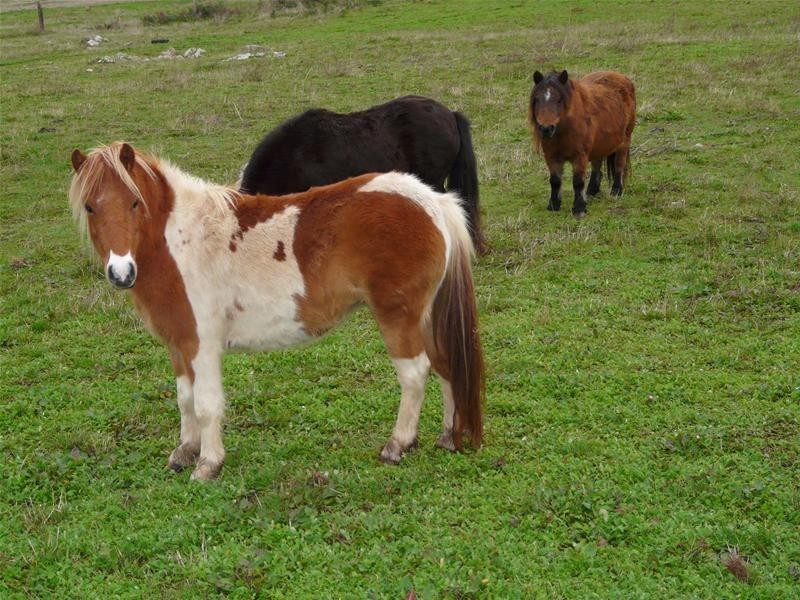 348 Walker Road, Mount Gambier SA 5290