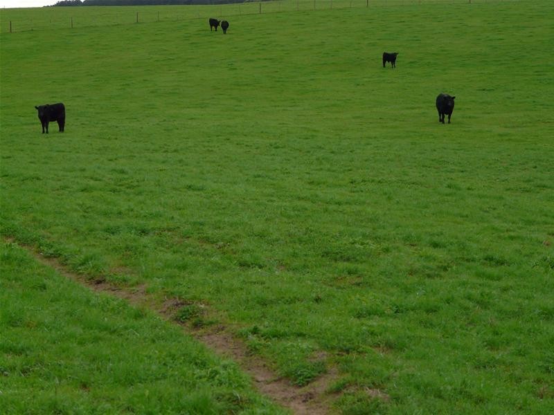 348 Walker Road, Mount Gambier SA 5290