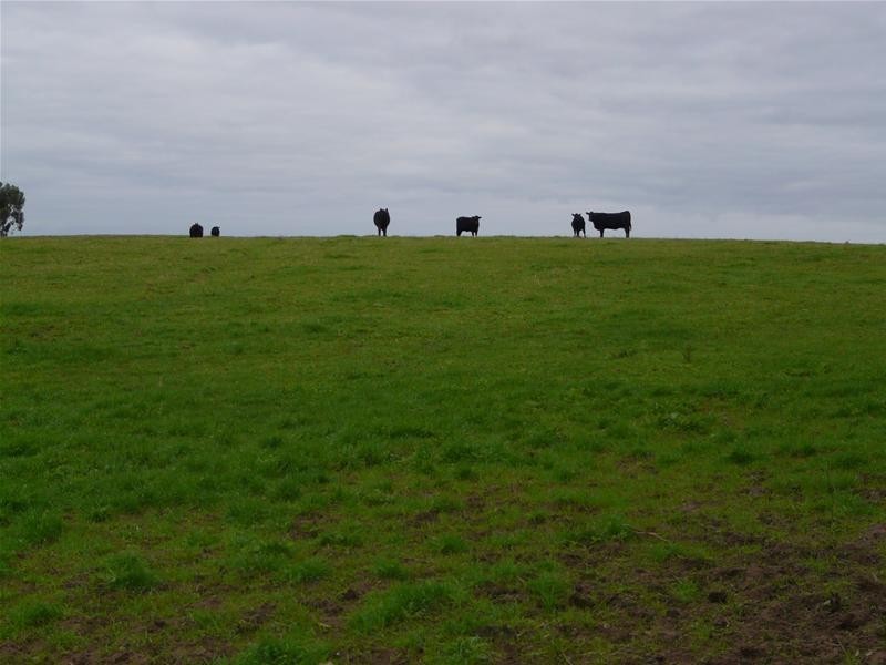 348 Walker Road, Mount Gambier SA 5290