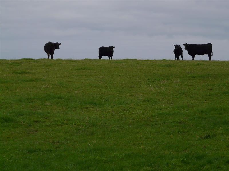 348 Walker Road, Mount Gambier SA 5290