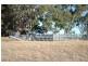 Section 87 Racecourse Road, Kalangadoo SA 5278