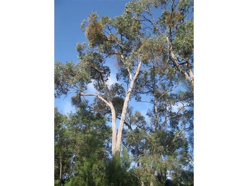 00 Hutchinsons Road, Strathdownie VIC 3312