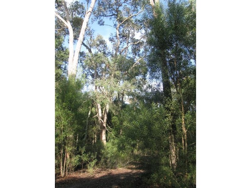 00 Hutchinsons Road, Strathdownie VIC 3312