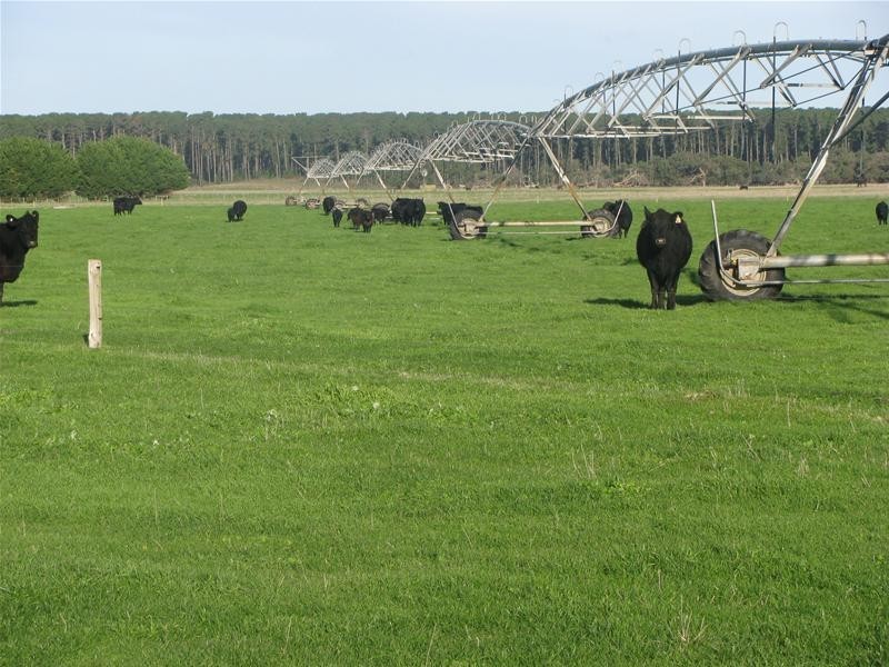 100 Crowes Road, Kongorong SA 5291