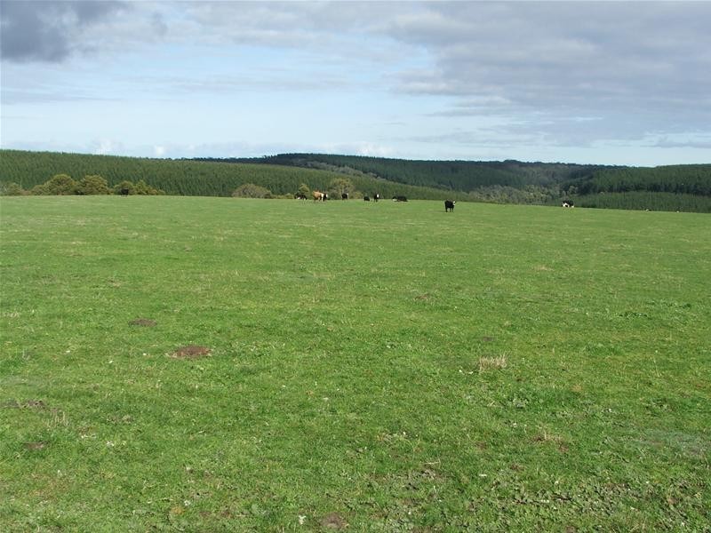 1 Princes Highway, Dartmoor VIC 3304