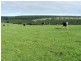 1 Princes Highway, Dartmoor VIC 3304