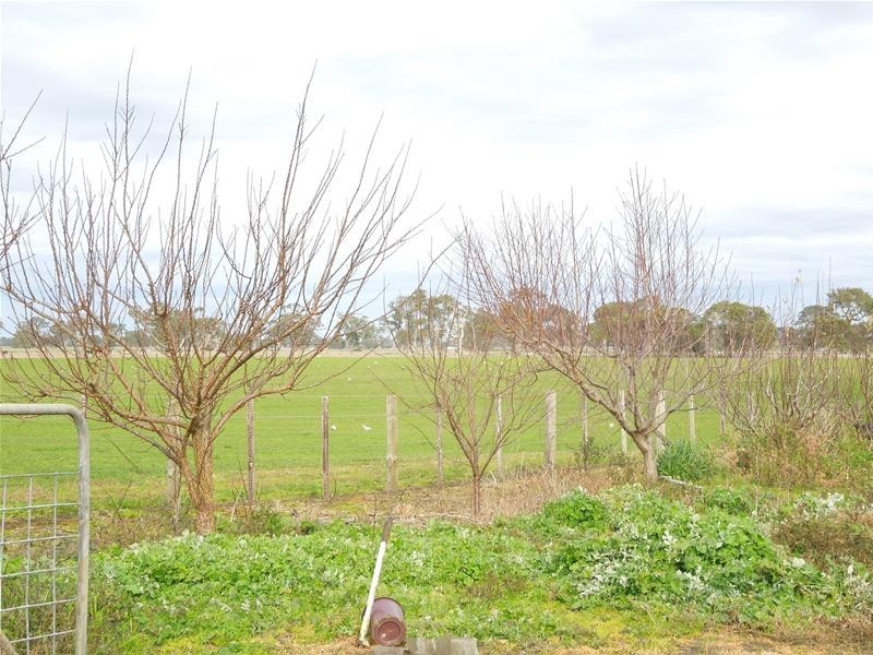 Sec 98 Wepar Road, Kalangadoo SA 5278