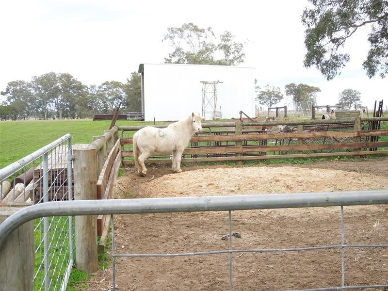 Sec 98 Wepar Road, Kalangadoo SA 5278